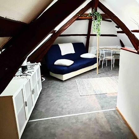 Tres Beau Studio Mansarde, Centre De Bourges Apartman Kültér fotó