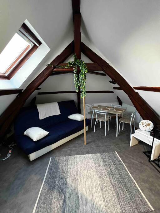 Tres Beau Studio Mansarde, Centre De Bourges Apartman Kültér fotó