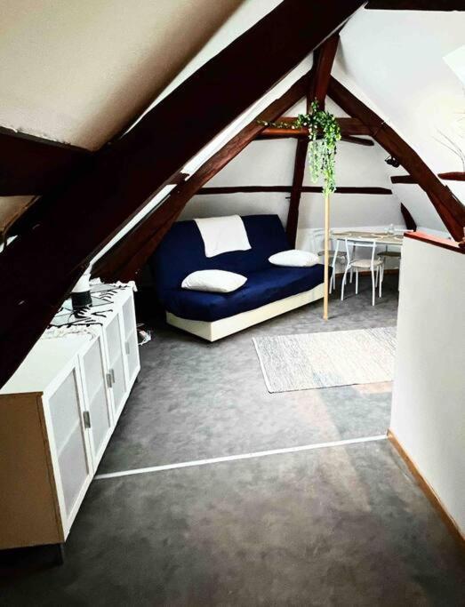 Tres Beau Studio Mansarde, Centre De Bourges Apartman Kültér fotó